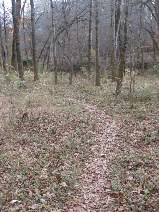 A winding dirt path covered in fallen leaves, surrounded by tall trees and underbrush, leads through a quiet, wooded area. The atmosphere suggests a peaceful, natural setting, with sparse foliage indicating late autumn. Turkey Creek mountain bike trail.
