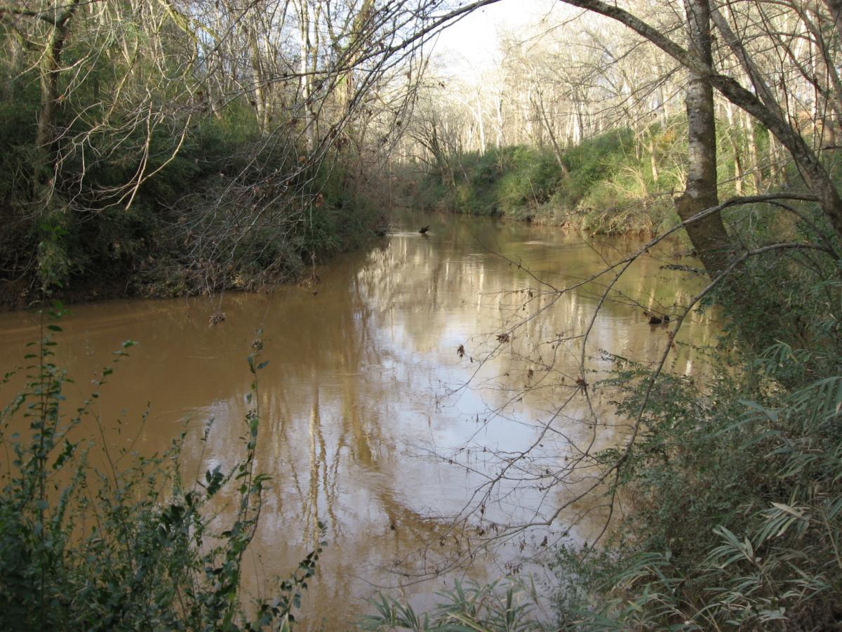 A serene river scene surrounded by bare trees and lush greenery. The water is calm and reflects the trees and sky, creating a peaceful atmosphere.  Turkey Creek mountain bike trail.