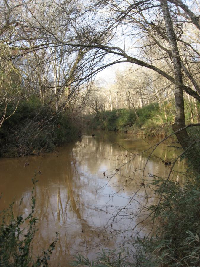 A serene view of a winding river surrounded by trees, with branches extending overhead and reflections visible in the water. The scene captures a natural landscape with muted colors, indicating a calm and tranquil atmosphere. Turkey Creek mountain bike trail.