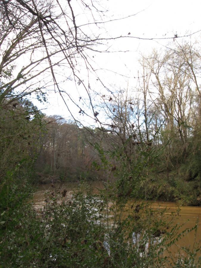 A serene landscape featuring a river flowing through a wooded area. The foreground includes dense greenery and sparse tree branches, while the background displays tall trees lining the riverbank, under a cloudy sky. The water appears brown, suggesting a natural, earthy setting. Turkey Creek mountain bike trail.