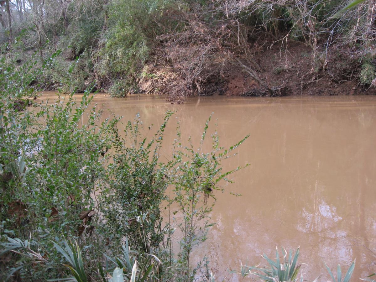 A tranquil view of a muddy river bordered by lush green vegetation and trees, reflecting the calmness of the natural surroundings. Turkey Creek mountain bike trail.