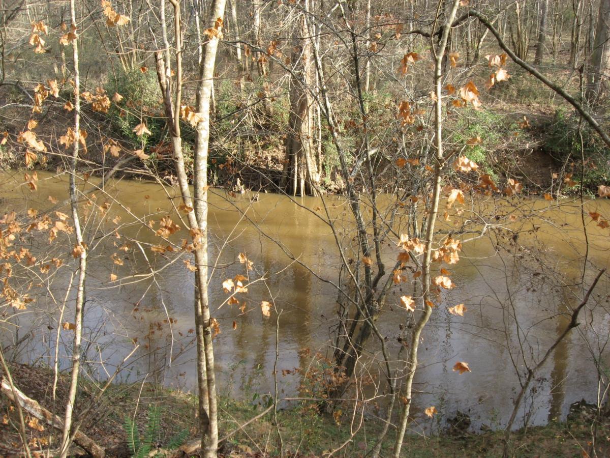 A tranquil river flows through a wooded area, surrounded by bare trees with sparse leaves. The scene captures the natural beauty of a late autumn landscape, featuring a calm, muddy water surface and hints of greenery in the background. Turkey Creek mountain bike trail.