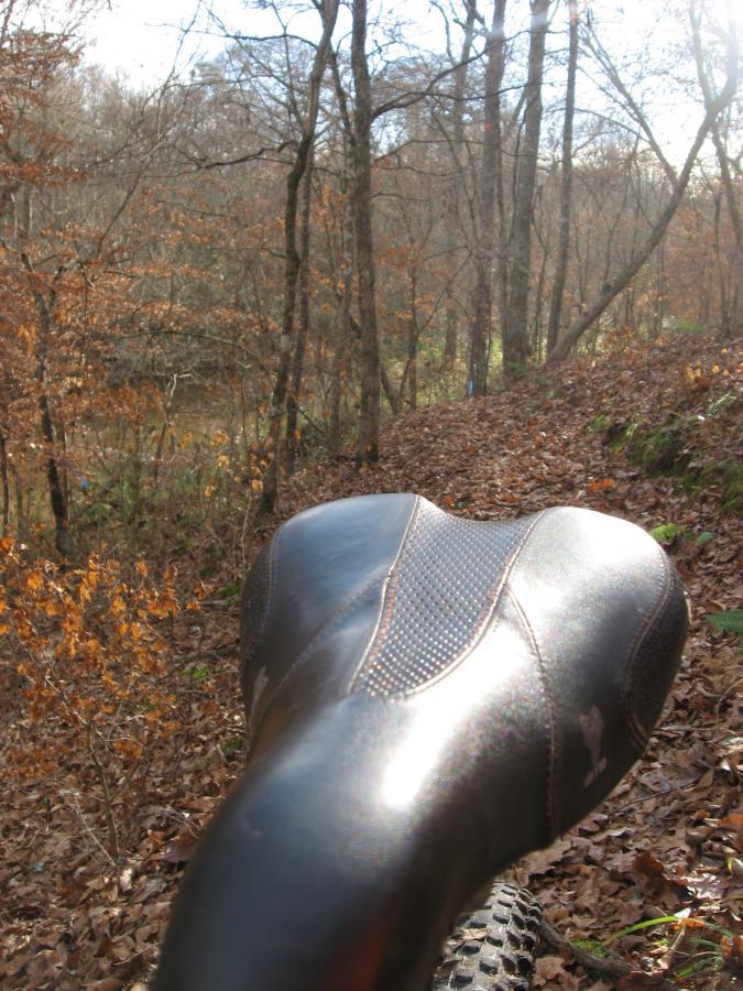A close-up view of a bicycle seat positioned on a trail, surrounded by autumn foliage and trees. Sunlight filters through the branches, illuminating the path ahead. Turkey Creek mountain bike trail.