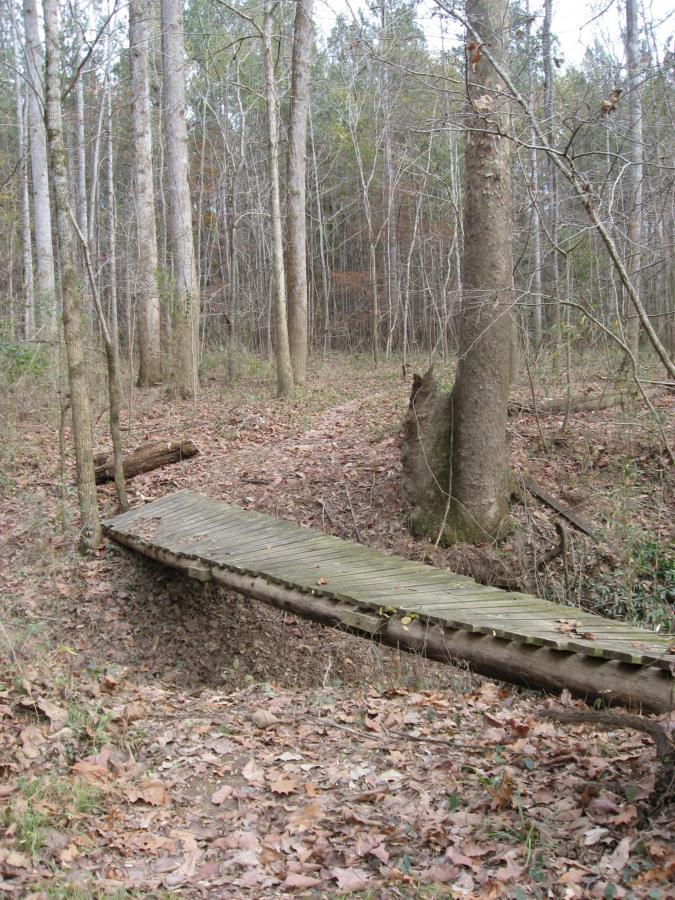A wooden bridge crossing a small ravine in a forested area, surrounded by tall trees and fallen leaves on the ground. Wine Creek mountain bike trail.