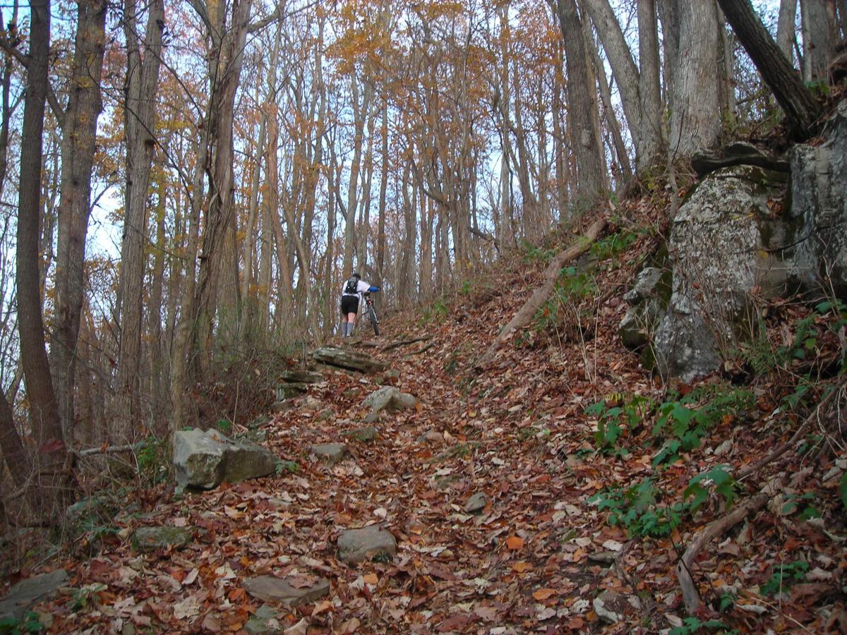 A person hiking up a rocky trail surrounded by trees with autumn foliage, with fallen leaves covering the ground. The scene captures a serene forest setting and indicates the transition of seasons. Monte Sano State Park &amp; Land Trust mountain bike trail.