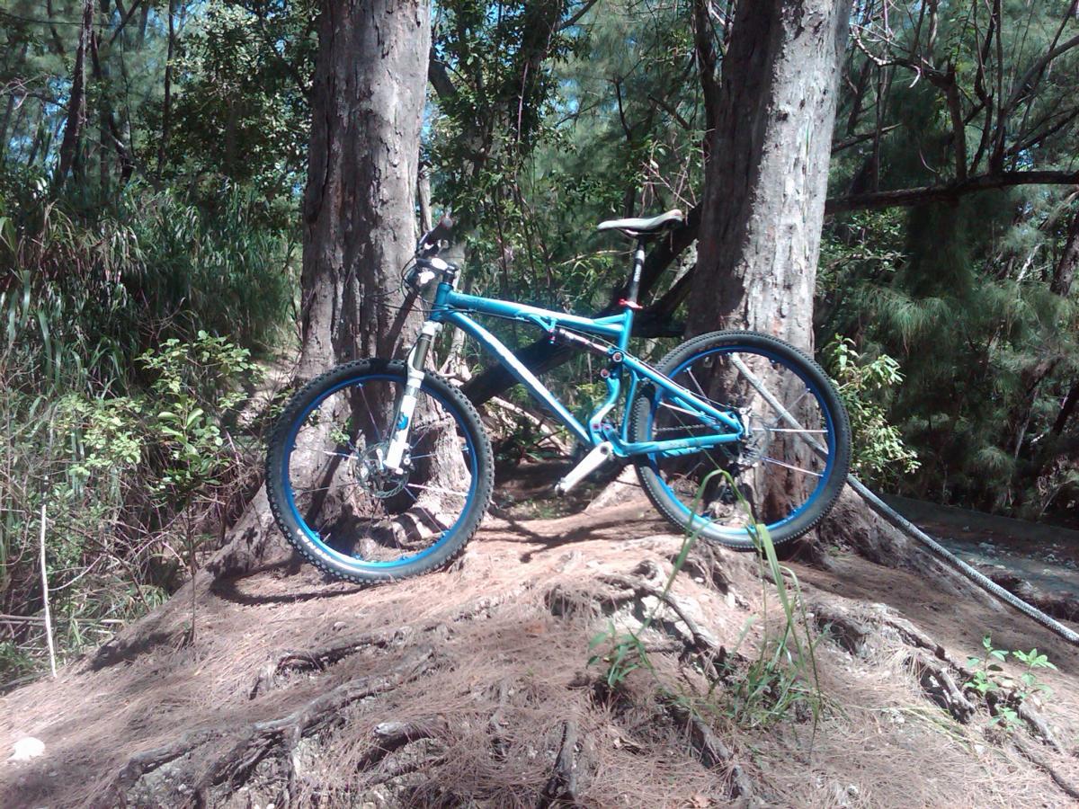 A blue mountain bike parked on a dirt mound surrounded by trees and greenery in a natural setting. Oleta River State Park mountain bike trail.