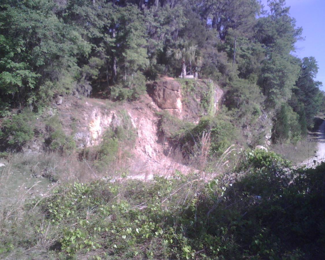 A natural landscape featuring a rocky incline covered with lush vegetation. The foreground shows grasses and low plants, while the background consists of a steep, earthy cliffside surrounded by trees. A dirt path runs parallel to the cliff, enhancing the rugged terrain. Bright sunlight casts gentle shadows, creating a serene outdoor atmosphere. Santos mountain bike trail.