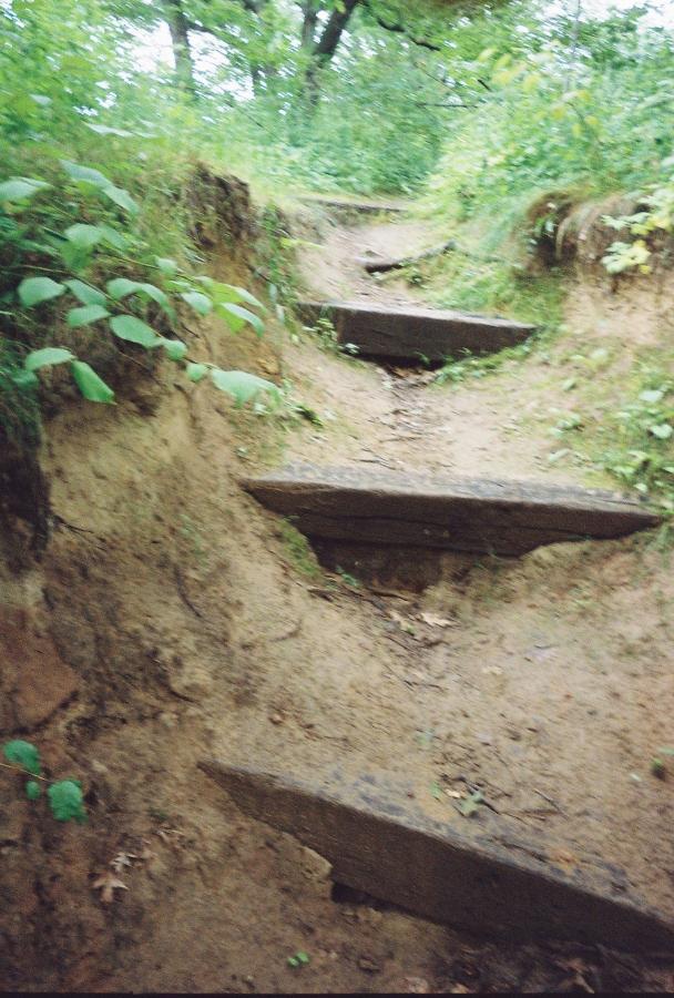 A dirt path with wooden steps winding upward, surrounded by lush green foliage and trees. The trail is slightly uneven and leads into a wooded area. Baird Creek mountain bike trail.