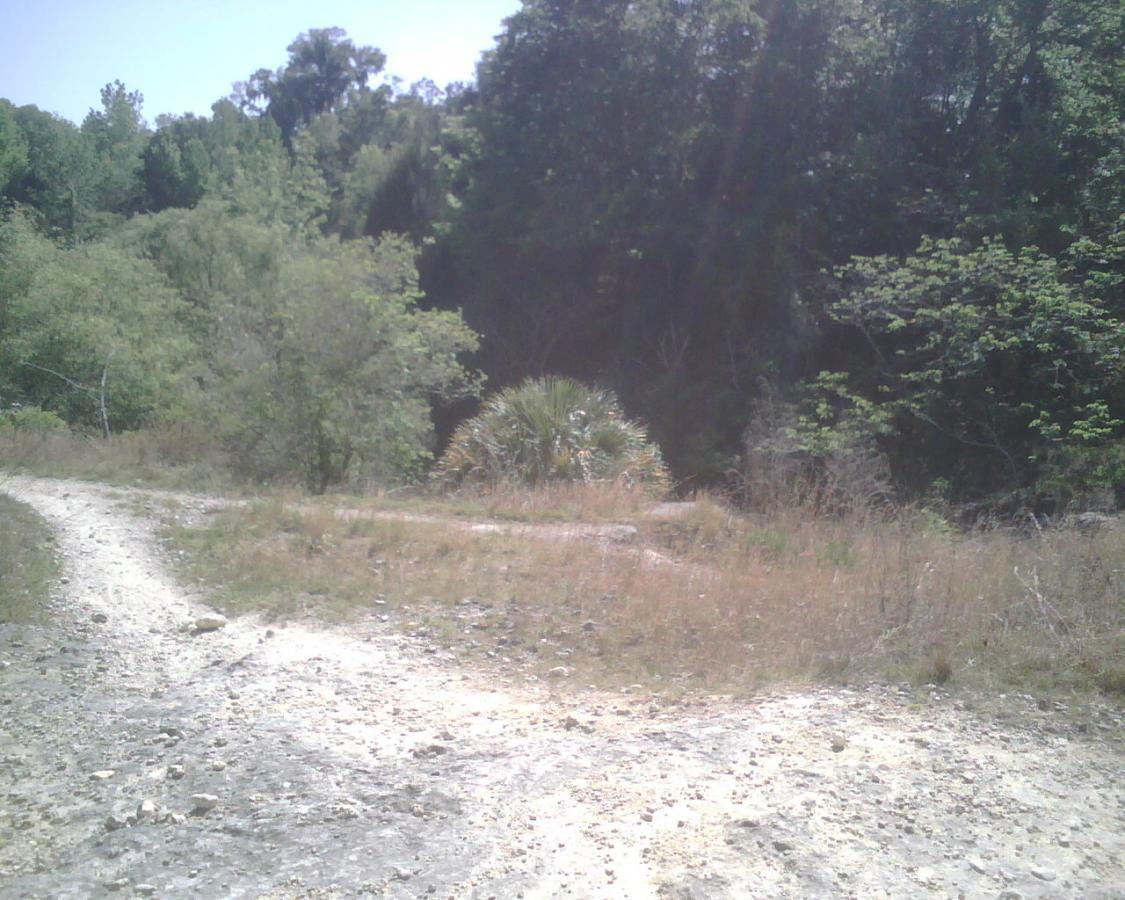 A winding dirt path leading through a grassy area, flanked by bushes and trees under a clear blue sky. The scene suggests a tranquil outdoor setting, perfect for hiking or exploring nature. Santos mountain bike trail.