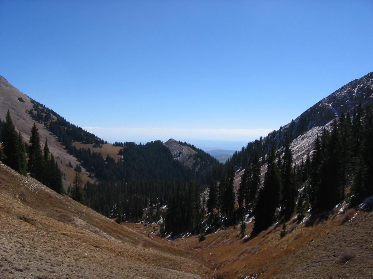 A scenic view of a mountain valley, surrounded by steep, rocky slopes and dense evergreen trees. The sky is clear and blue, providing a bright backdrop to the landscape, while patches of grass and shrubs cover the valley floor. The distant horizon features rolling hills and a slight haze. Burro Pass mountain bike trail.