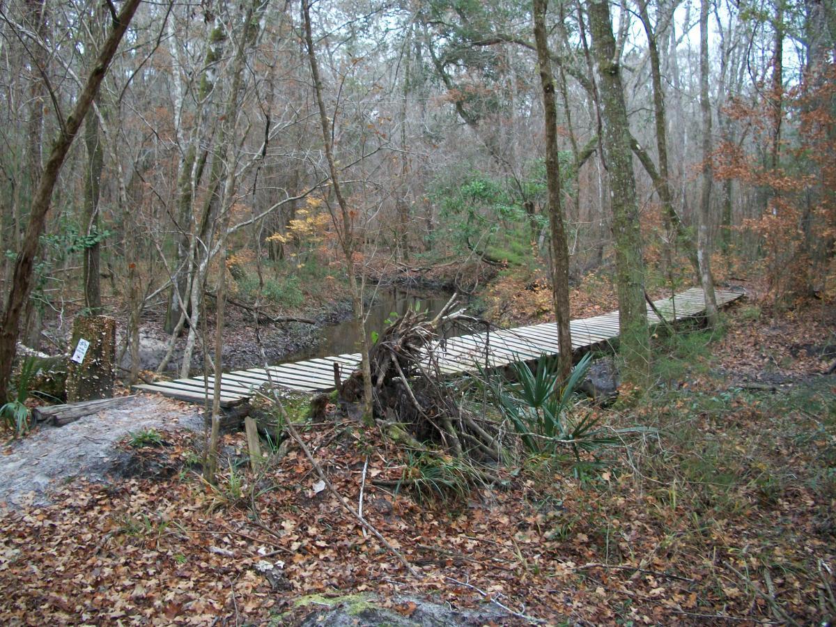 A wooden footbridge spans a small stream in a wooded area, surrounded by bare trees and fallen leaves. The scene captures the essence of a peaceful forest setting, with hints of autumn colors peeking through the foliage. San Felasco Hammock Preserve mountain bike trail.