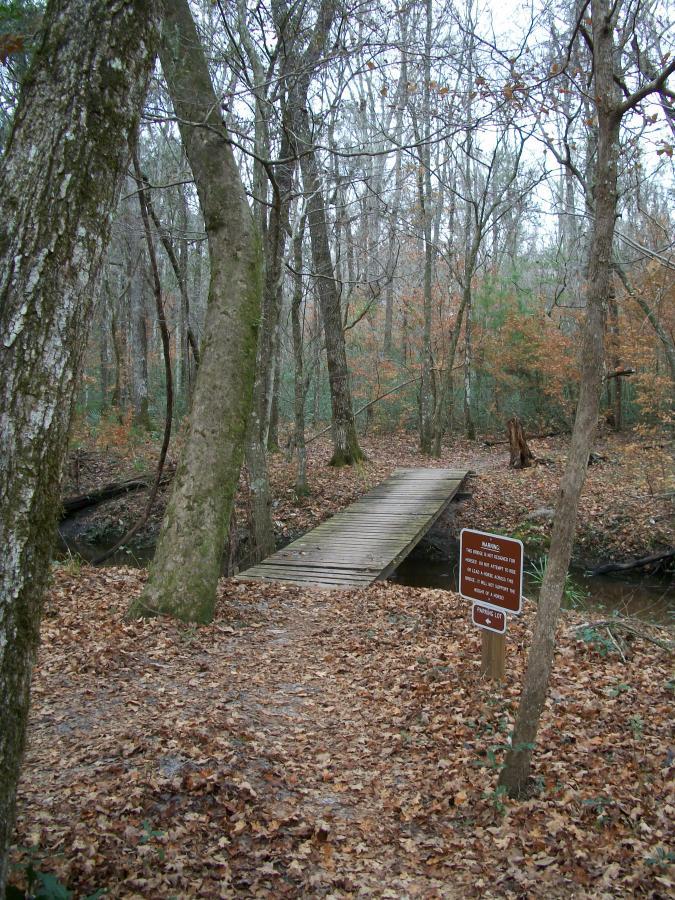 A wooden bridge crosses a small creek in a wooded area with sparse trees. Autumn leaves cover the ground, and a sign stands nearby with a warning about the bridge. The scene conveys a peaceful, natural environment, indicative of a hiking or nature trail. San Felasco Hammock Preserve mountain bike trail.