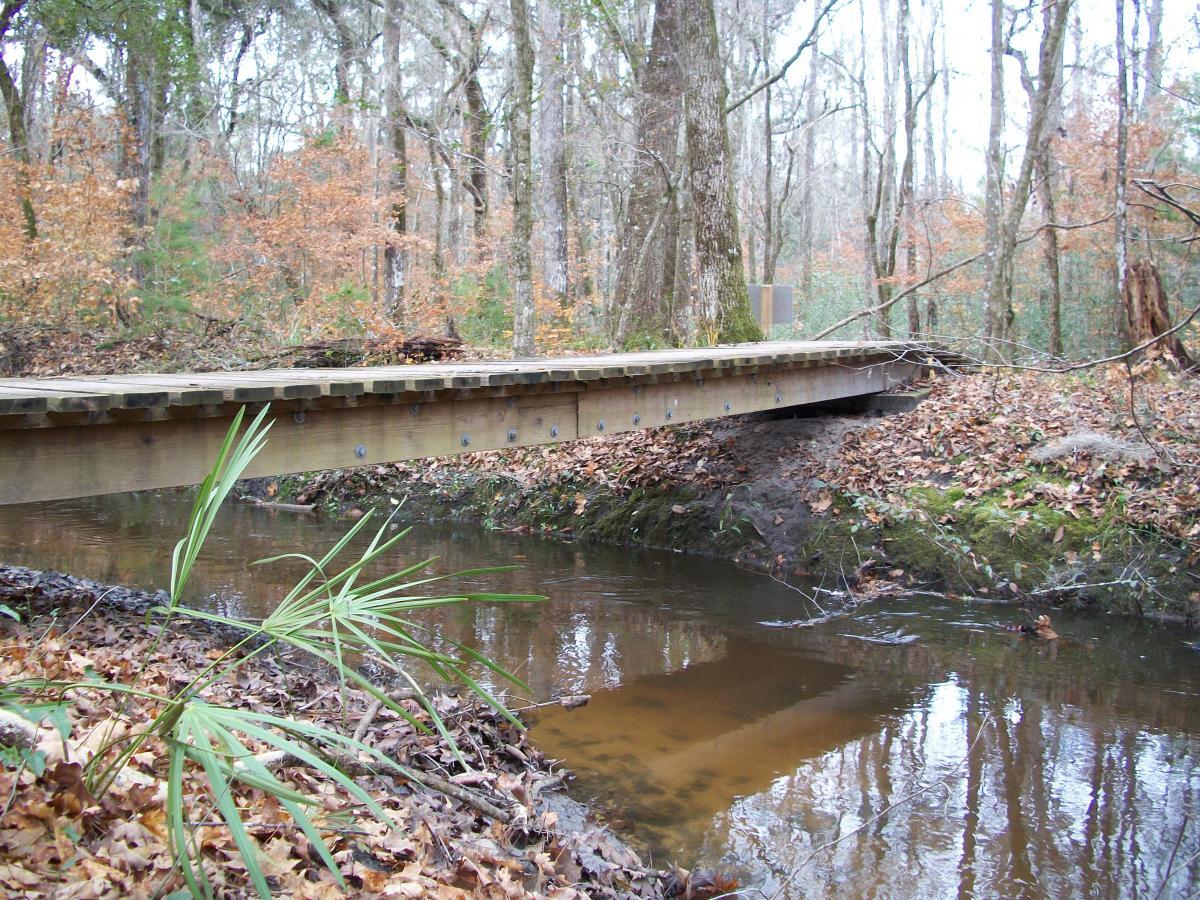 A simple wooden bridge spans a narrow creek in a wooded area, surrounded by trees with autumn leaves. The ground is covered in fallen leaves and small green plants near the water's edge. The scene is tranquil and showcases a natural setting. San Felasco Hammock Preserve mountain bike trail.