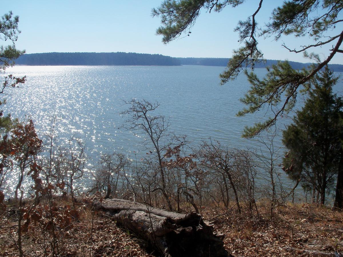 A serene view of a lake surrounded by trees, with sunlight reflecting off the water's surface. In the foreground, dry branches and fallen leaves are visible, while the background features a distant tree-lined shore under a clear blue sky. Hickory Knob State Park mountain bike trail.