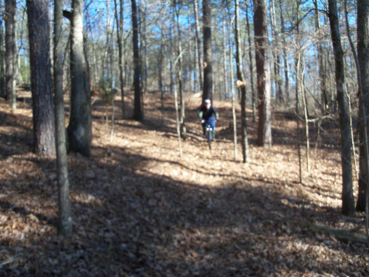 A mountain biker rides along a dirt path in a forested area with trees and fallen leaves scattered on the ground. The scene is illuminated by sunlight filtering through the branches. Hickory Knob State Park mountain bike trail.