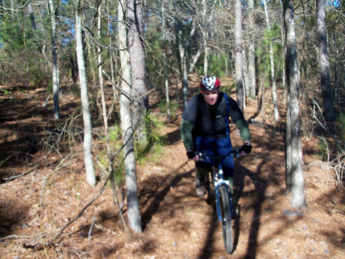 A person riding a mountain bike along a narrow trail surrounded by trees in a wooded area. The cyclist is wearing a helmet and sports clothing, and the ground is covered with pine needles. Sunlight filters through the branches, creating a natural setting. Hickory Knob State Park mountain bike trail.