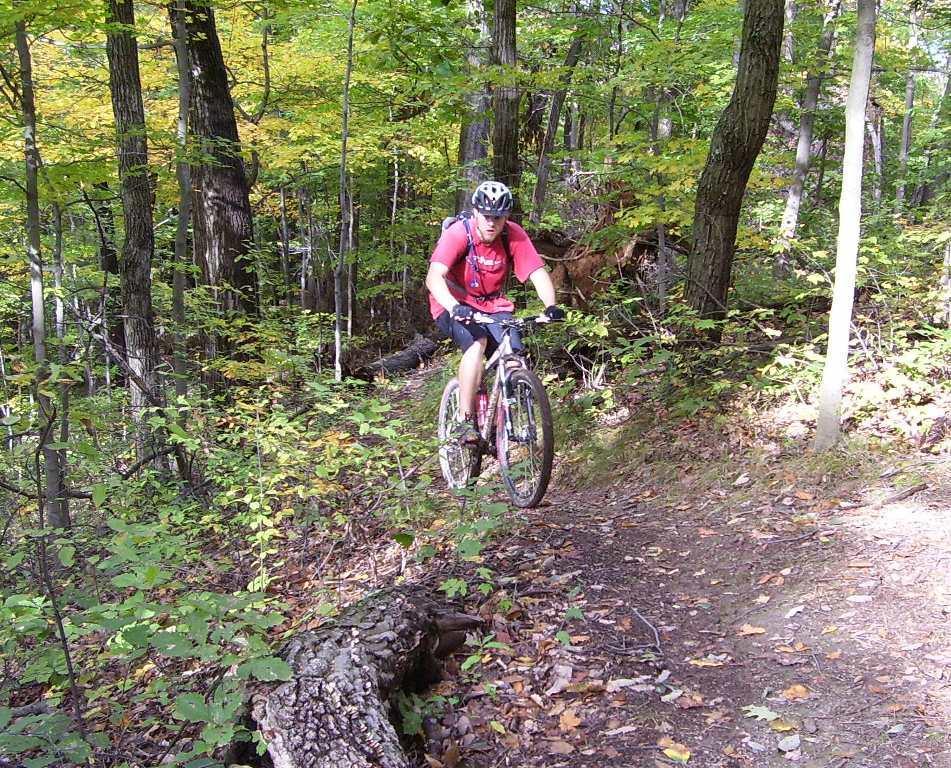 A mountain biker riding on a narrow trail through a vibrant, green forest in autumn. The cyclist is wearing a helmet and a red shirt, navigating over a fallen log, with trees and colorful leaves in the background. Ohio View Trail mountain bike trail.