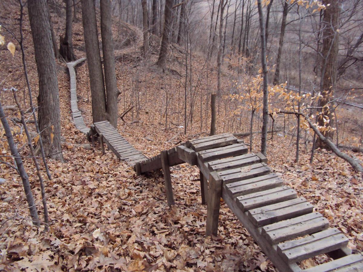 A narrow wooden path winding through a forest with bare trees and a carpet of fallen leaves. The pathway features a small bridge and connects two sections of the trail, leading deeper into the woodland. The scene has a tranquil, rustic feel, typical of a natural hiking area in autumn. Don Valley mountain bike trail.