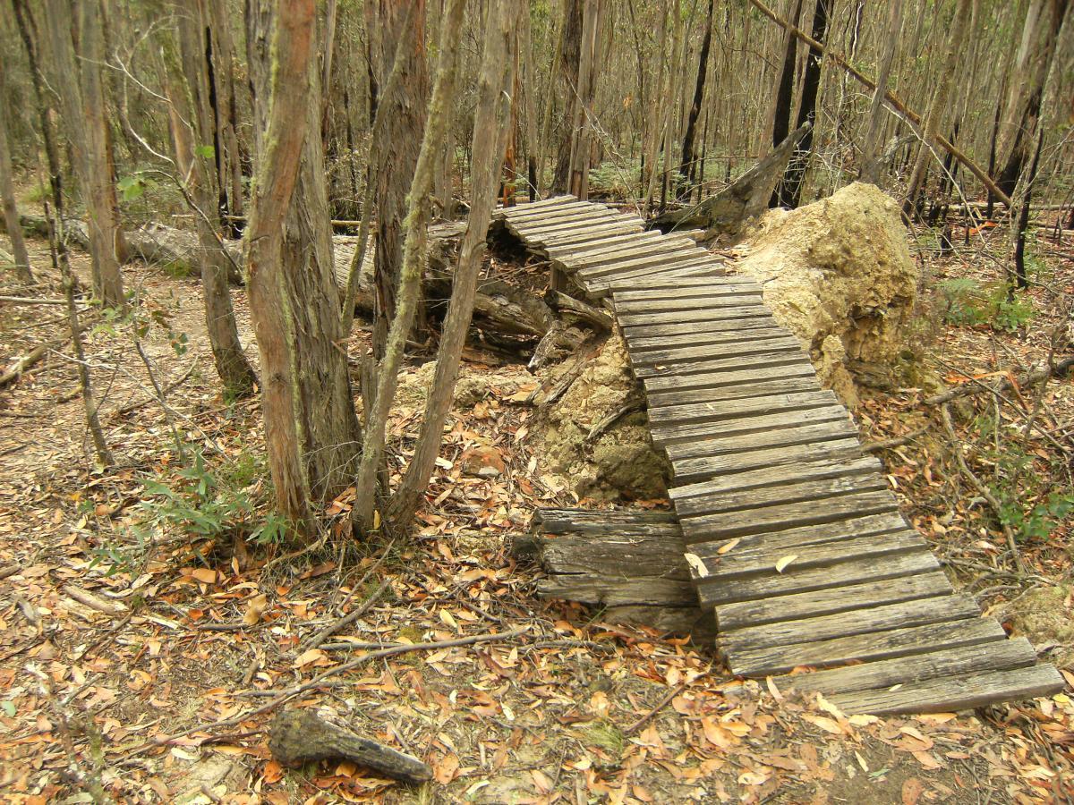 A narrow wooden bridge crossing over a rocky area, surrounded by trees in a forested setting. Dry leaves and branches cover the ground, indicating the natural landscape. Wombat Track mountain bike trail.