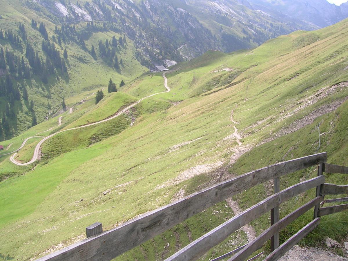 A scenic view of rolling green hills and winding dirt paths in a mountainous landscape, bordered by a wooden fence. Pine trees dot the hillsides, while the backdrop features rocky cliffs under a clear sky. Wannentritt mountain bike trail.
