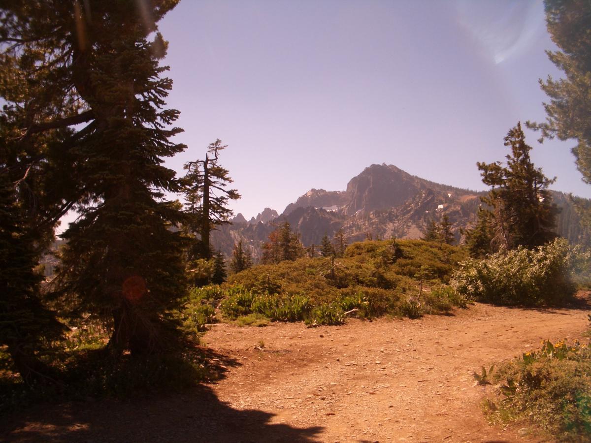 A scenic view of a mountainous landscape featuring tall evergreen trees in the foreground and rugged mountain peaks in the background, under a clear blue sky. The trail meanders through lush vegetation, creating a serene natural setting. Downieville Downhill mountain bike trail.