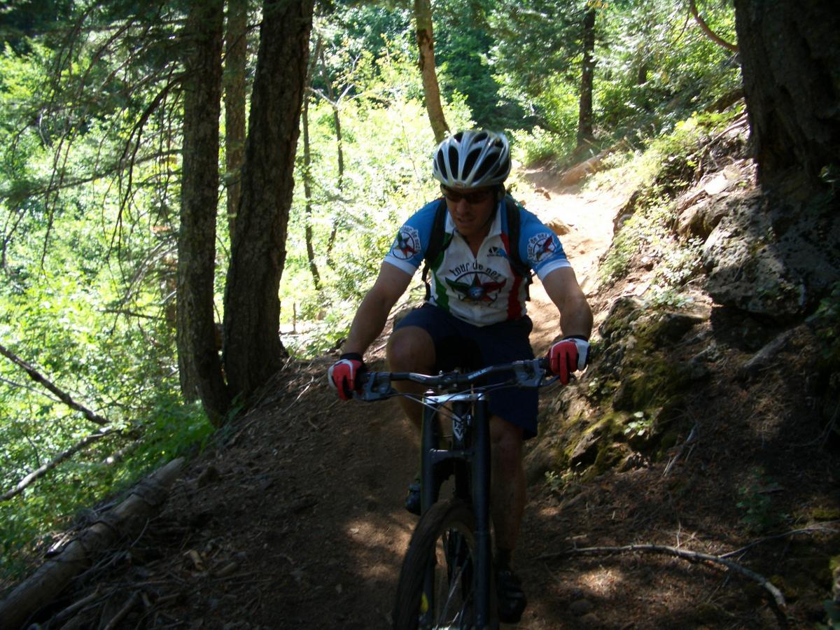 A mountain biker wearing a helmet and cycling gear navigates a narrow, wooded trail surrounded by lush greenery and sunlight filtering through the trees. The cyclist is focused on the path ahead, with a slight incline visible in the terrain. Downieville Downhill mountain bike trail.