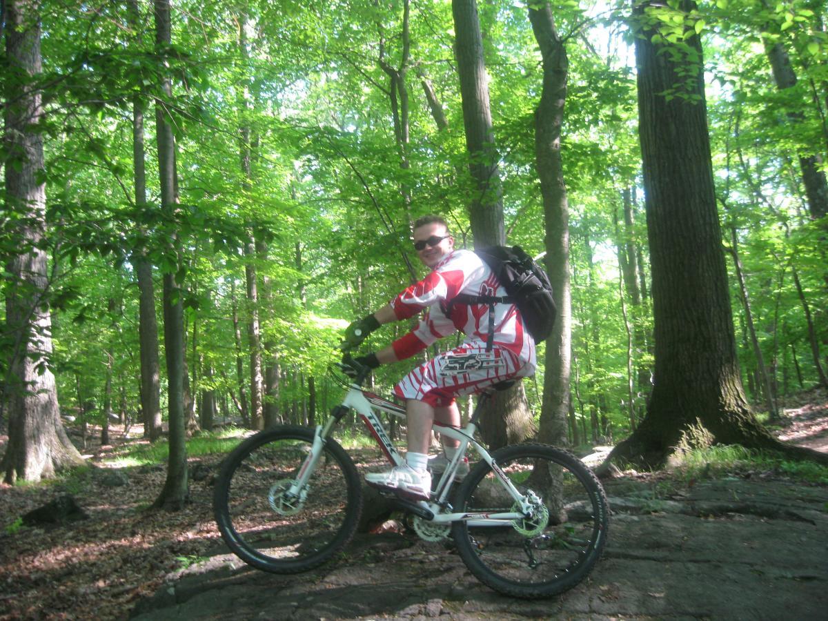 A person wearing a red and white cycling outfit and sunglasses is sitting on a mountain bike on a rocky surface in a lush green forest. Tall trees surround the area, with sunlight filtering through the leaves, creating a vibrant and natural setting. Blue Mountain Reservation mountain bike trail.