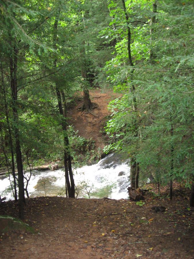 A serene forest scene showing a small waterfall cascading over rocks, surrounded by lush green trees and underbrush. The view is from a slightly elevated position, with a dirt path leading down towards the water. The Bee Trail mountain bike trail.