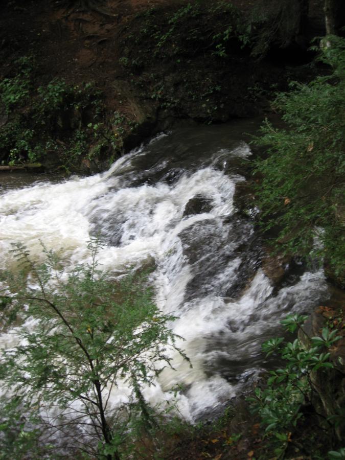 A flowing stream with white frothy water cascades over rocks, surrounded by lush green vegetation and trees. The scene captures a peaceful, natural landscape. The Bee Trail mountain bike trail.