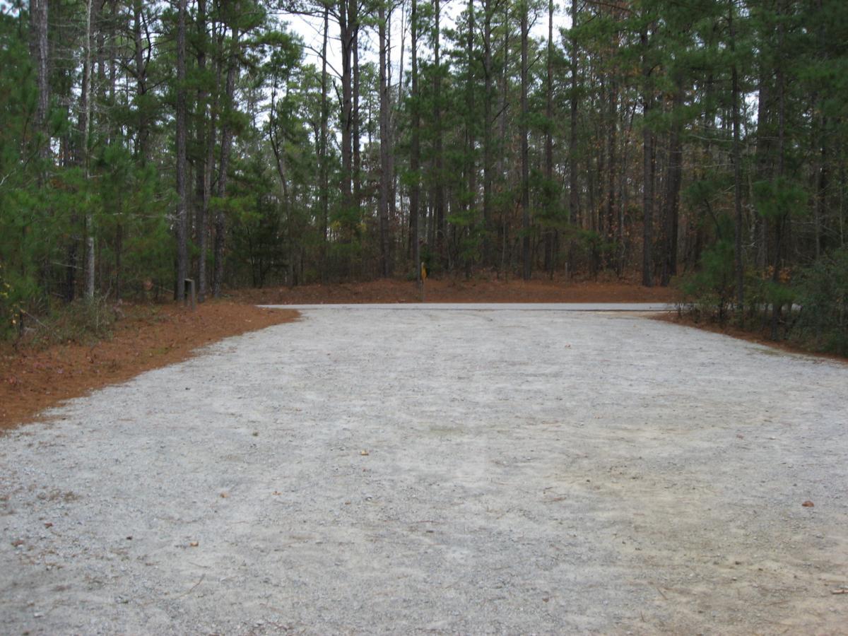 A gravel path or road leading into a wooded area, surrounded by tall pine trees and scattered foliage, with a clear view of the trail branching off to the right. The scene is tranquil and natural, evoking a sense of outdoor exploration. Bartram Trail / West Dam / Wildwood Park mountain bike trail.