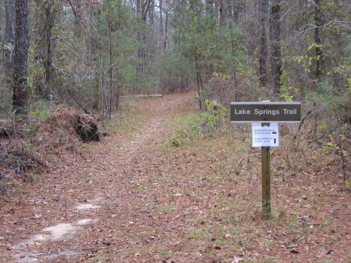 A wooded trail surrounded by trees and underbrush, with a sign reading "Lake Springs Trail" indicating the path. The ground is covered with fallen leaves, and there are additional directional signs for nearby trails. The scene conveys a serene natural environment ideal for hiking. Bartram Trail / West Dam / Wildwood Park mountain bike trail.