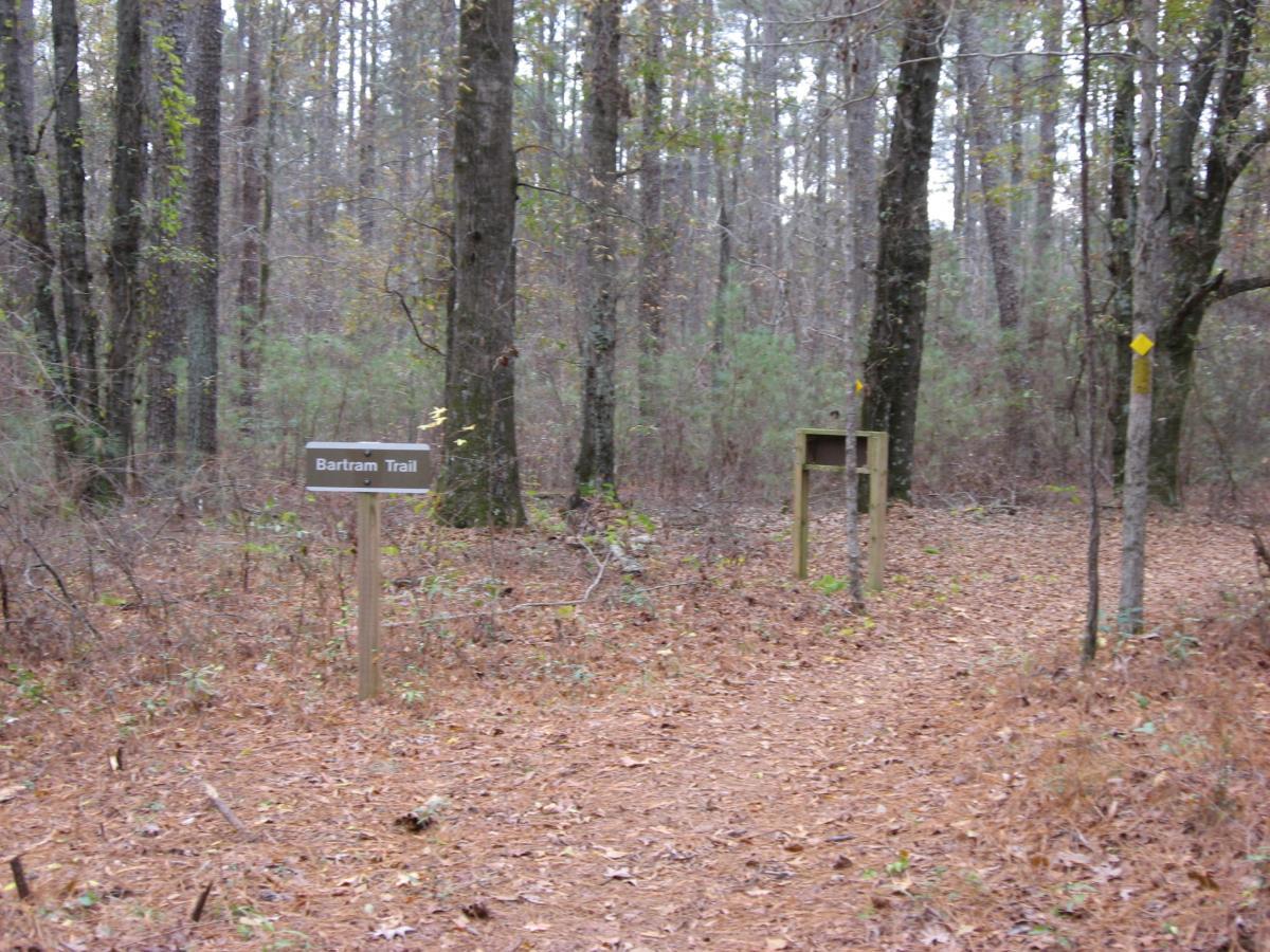 A wooded area featuring a sign marking the Bartram Trail. The path is covered in fallen leaves, with tall trees and shrubs surrounding the trail entrance. Bartram Trail / West Dam / Wildwood Park mountain bike trail.