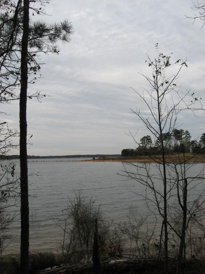 A serene view of a calm lake surrounded by trees under a cloudy sky, with a small sandy shoreline in the distance. Bartram Trail / West Dam / Wildwood Park mountain bike trail.