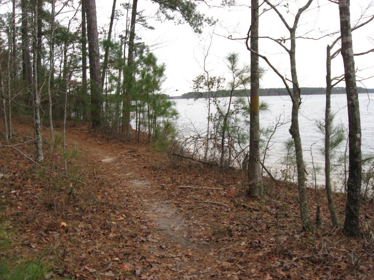 A narrow dirt path lined with pine trees and fallen leaves, leading to a tranquil lake. The water reflects the overcast sky, and the scene is surrounded by lush greenery. Bartram Trail / West Dam / Wildwood Park mountain bike trail.