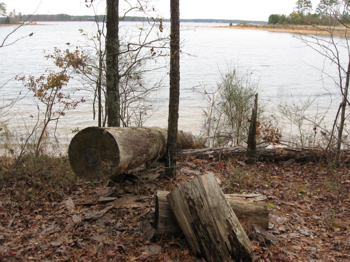 A peaceful lakeside view featuring fallen logs and trees along the shore. The scene is framed by trees and shrubs, with calm water reflecting the overcast sky in the background. Autumn leaves cover the ground, creating a natural setting. Bartram Trail / West Dam / Wildwood Park mountain bike trail.