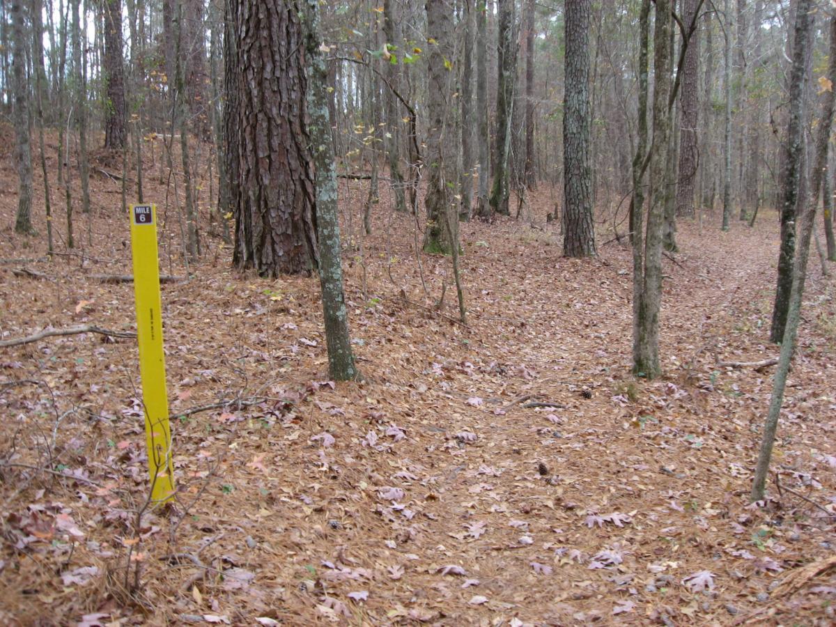 A trail in a wooded area, with a yellow mile marker post indicating "Mile 6" beside a narrow path covered in fallen leaves. The scene features tall trees in the background, suggesting a quiet and natural environment. Bartram Trail / West Dam / Wildwood Park mountain bike trail.
