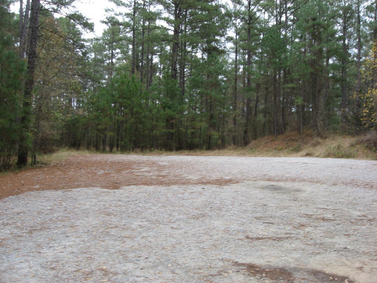 Gravel path leading into a dense forest, surrounded by tall pine trees and scattered leaves on the ground, creating a natural, serene atmosphere. Bartram Trail / West Dam / Wildwood Park mountain bike trail.