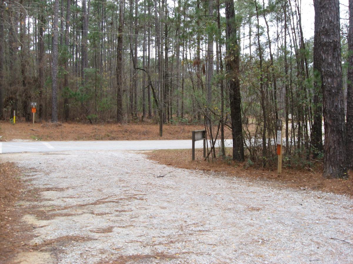 A gravel path leads into a wooded area, flanked by tall pine trees. In the background, there is a junction where the path meets a paved road. Two informational signs are visible, one orange and one white, indicating directions or information about the area. Fallen pine needles cover the ground, creating a natural landscape typical of a forested area. Bartram Trail / West Dam / Wildwood Park mountain bike trail.