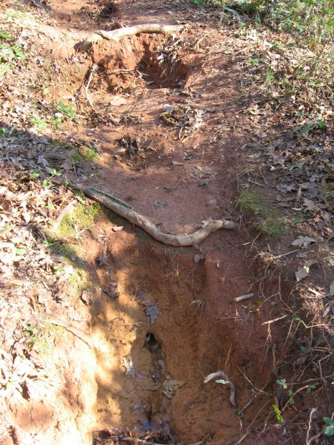 A narrow, muddy trench in a wooded area, partially obscured by fallen leaves and small twigs. A branch lies across the top of the trench, which has uneven sides and shows signs of water erosion. Green grass and vegetation are visible alongside the trench, indicating a natural environment. Hawkes Creek mountain bike trail.