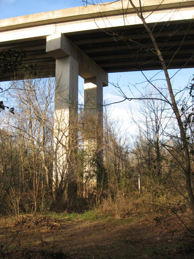 Pillars of a concrete overpass rise above a wooded area, surrounded by sparse trees and underbrush. The scene captures the contrast between the man-made structure and the natural environment, with clear blue sky visible in the background. Milledge Loop mountain bike trail.