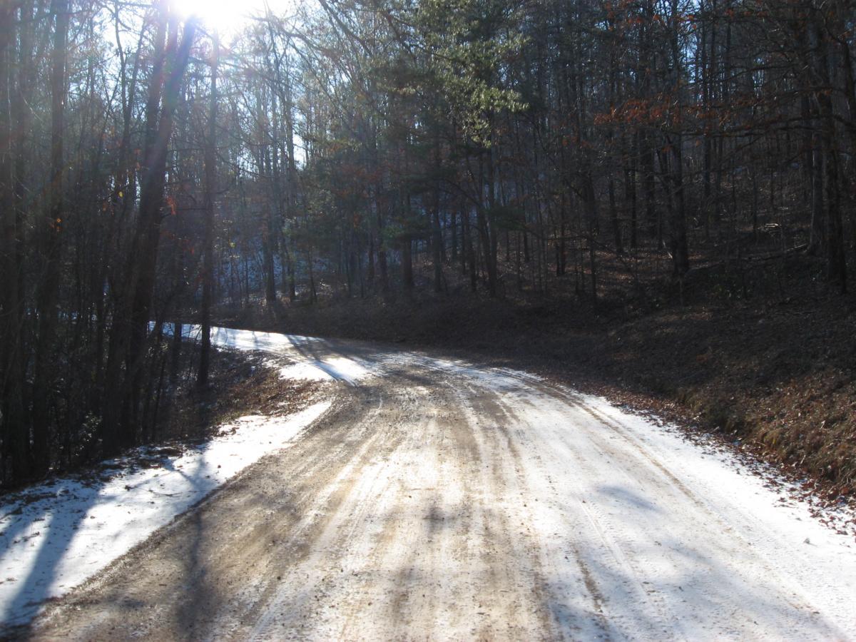 A winding dirt road through a forest, lined with bare trees and patches of snow. The sun is shining brightly in the background, casting shadows on the road and surroundings. Montgomery Creek Trail mountain bike trail.