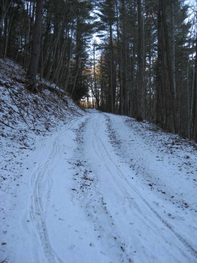 A snowy path winding through a forest, flanked by tall trees. The ground is covered in snow and leaf litter, with visible tire tracks and footprints leading into the distance. Soft light filters through the trees, hinting at a clear sky above. Montgomery Creek Trail mountain bike trail.