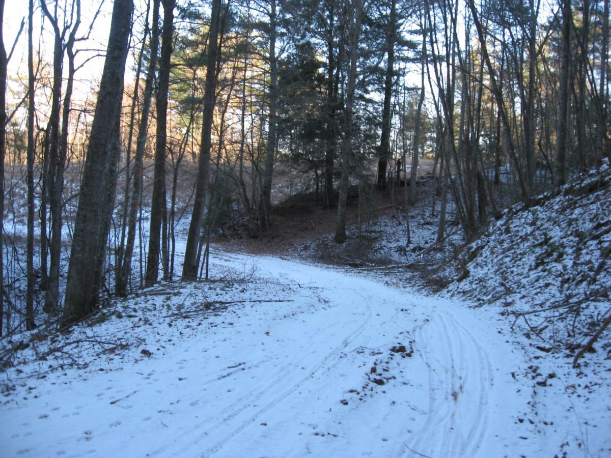 A snowy path winding through a forest, with trees on either side and a gentle slope in the background. The ground is covered with a layer of fresh snow, and the scene is illuminated by soft daylight. Montgomery Creek Trail mountain bike trail.