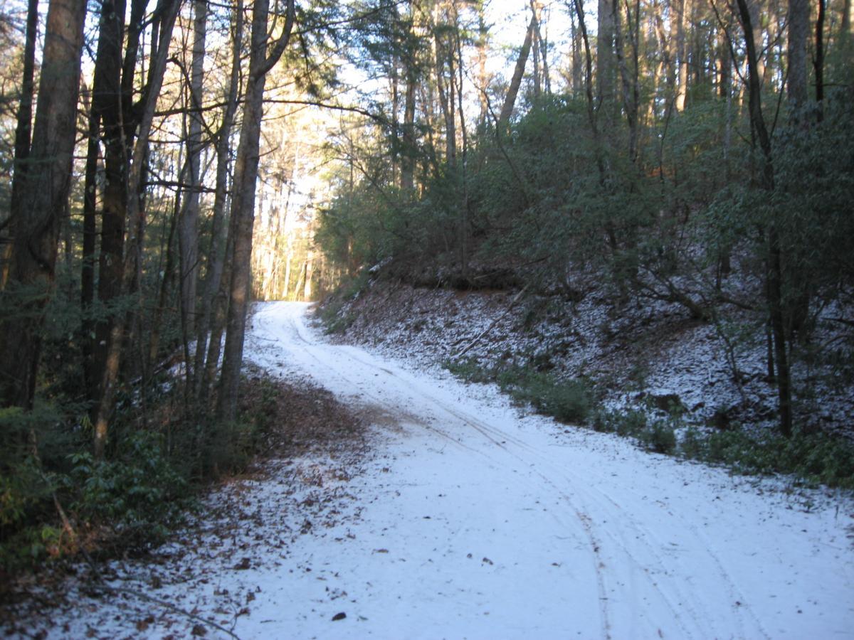 A winding dirt path covered with a light layer of snow, surrounded by tall trees in a serene forest setting. The sunlight filters through the branches, illuminating the scene. Montgomery Creek Trail mountain bike trail.