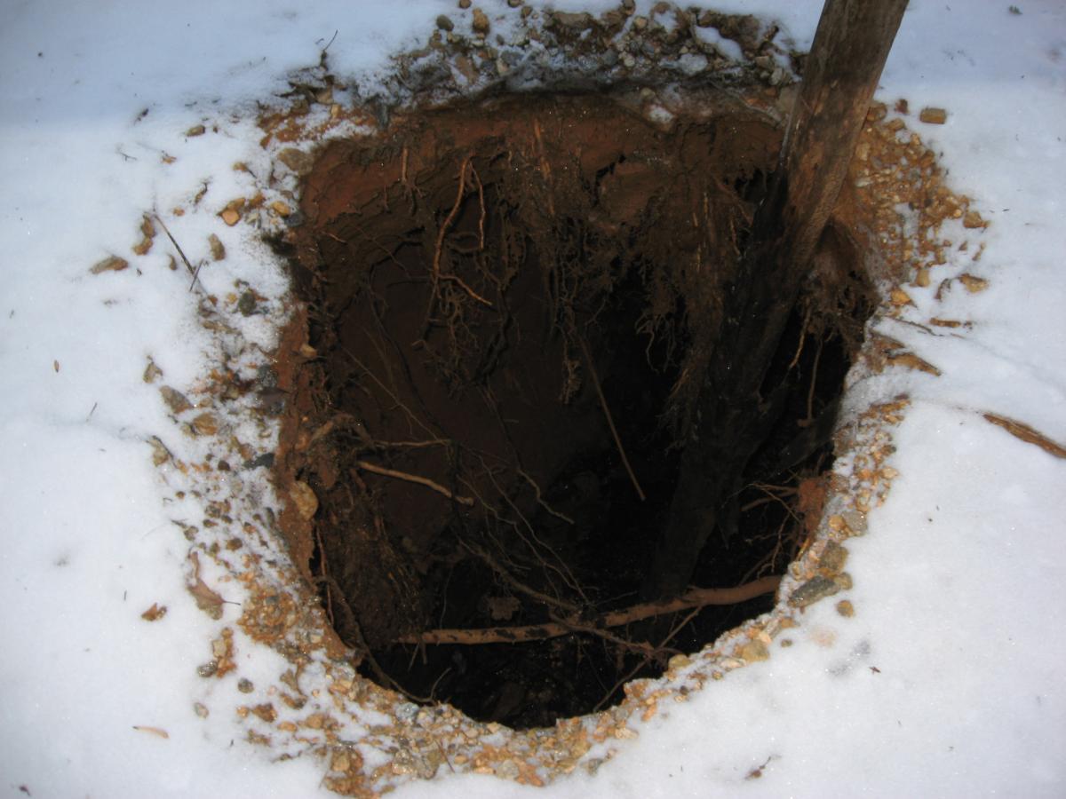 A deep hole in the ground surrounded by snow, revealing exposed soil and tree roots. A wooden post is partially visible inside the hole. Small rocks and debris are scattered around the edge of the hole and snow covering the surrounding area. Montgomery Creek Trail mountain bike trail.