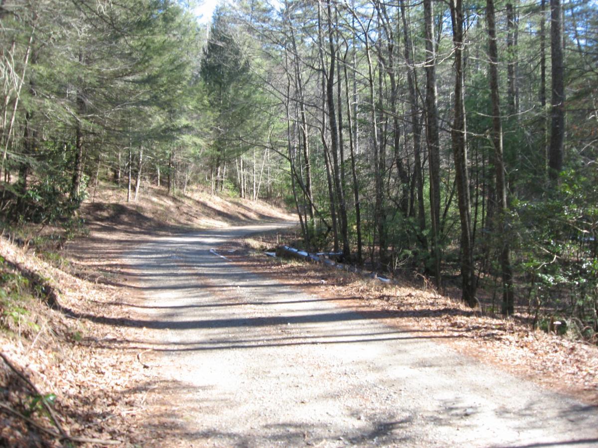 A winding gravel road surrounded by trees, with sunlight filtering through the foliage. The path shows signs of leaves and earth, indicating a serene, natural setting. Cooper Creek mountain bike trail.
