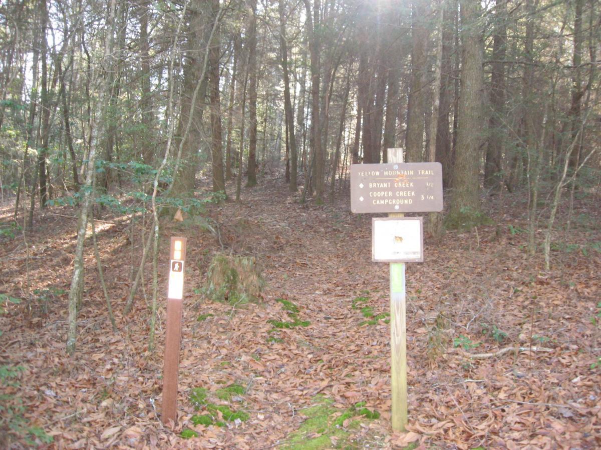 A forest trail sign indicating the Yellow Mountain Trail, with directions to Bryant Creek (0.5 miles) and Cooper Creek Campground (3.25 miles). The area is surrounded by trees and fallen leaves, illustrating a natural woodland setting. Cooper Creek mountain bike trail.