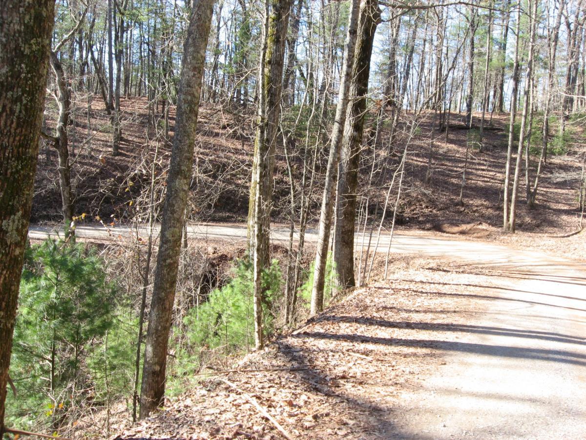 A winding dirt road surrounded by trees in a forested area, with sunlight filtering through the branches and fallen leaves scattered along the path. Winding Stairs Loop mountain bike trail.