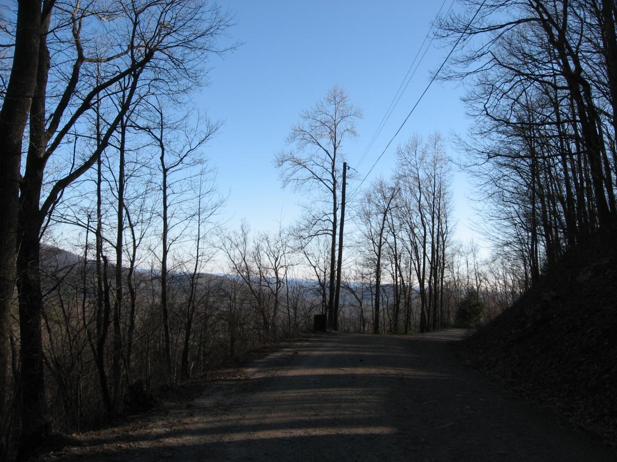 A dirt road winding through a forest in winter, lined with bare trees against a clear blue sky. The landscape features distant hills in the background, with utility poles visible along the road. Sunlight filters through the branches, creating a serene, tranquil atmosphere. Winding Stairs Loop mountain bike trail.