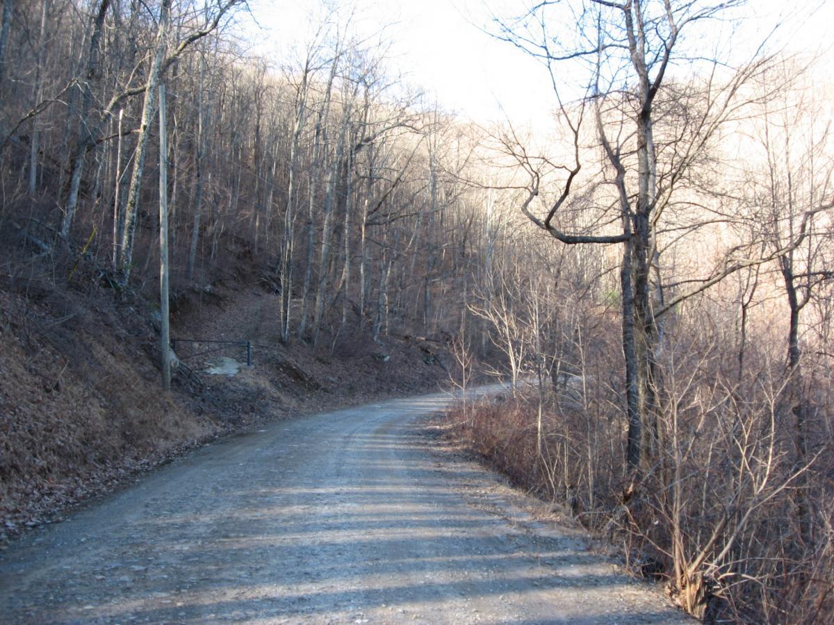 A winding dirt road surrounded by bare trees, with a hillside in the background. The scene is illuminated by soft light, indicating it may be early morning or late afternoon. On the left side, a metal gate is partially visible, leading to a path into the woods. The landscape is tranquil, with scattered leaves and branches along the edges of the road. Winding Stairs Loop mountain bike trail.